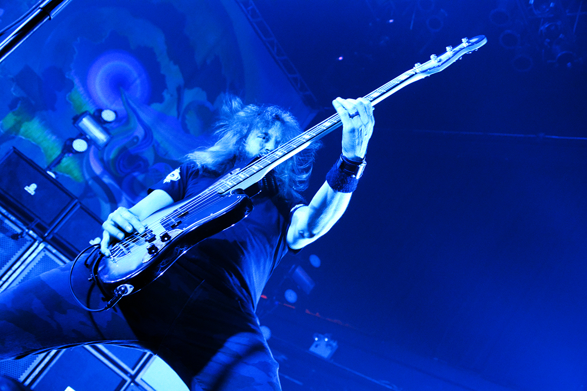 Mastodon live pictures